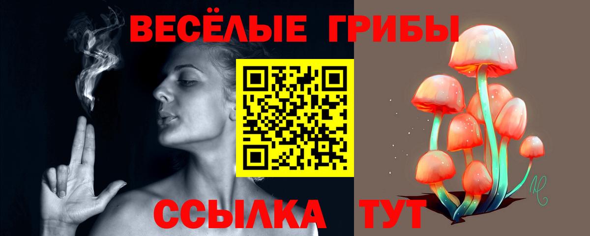 Галлюциногенные грибы Cubensis  Вход с VPN  Альметьевск 